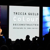 A cor desconstruída, por Tricia Guild